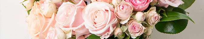 Лучшие свежие букеты в Мелитополе - от Гранд Флора